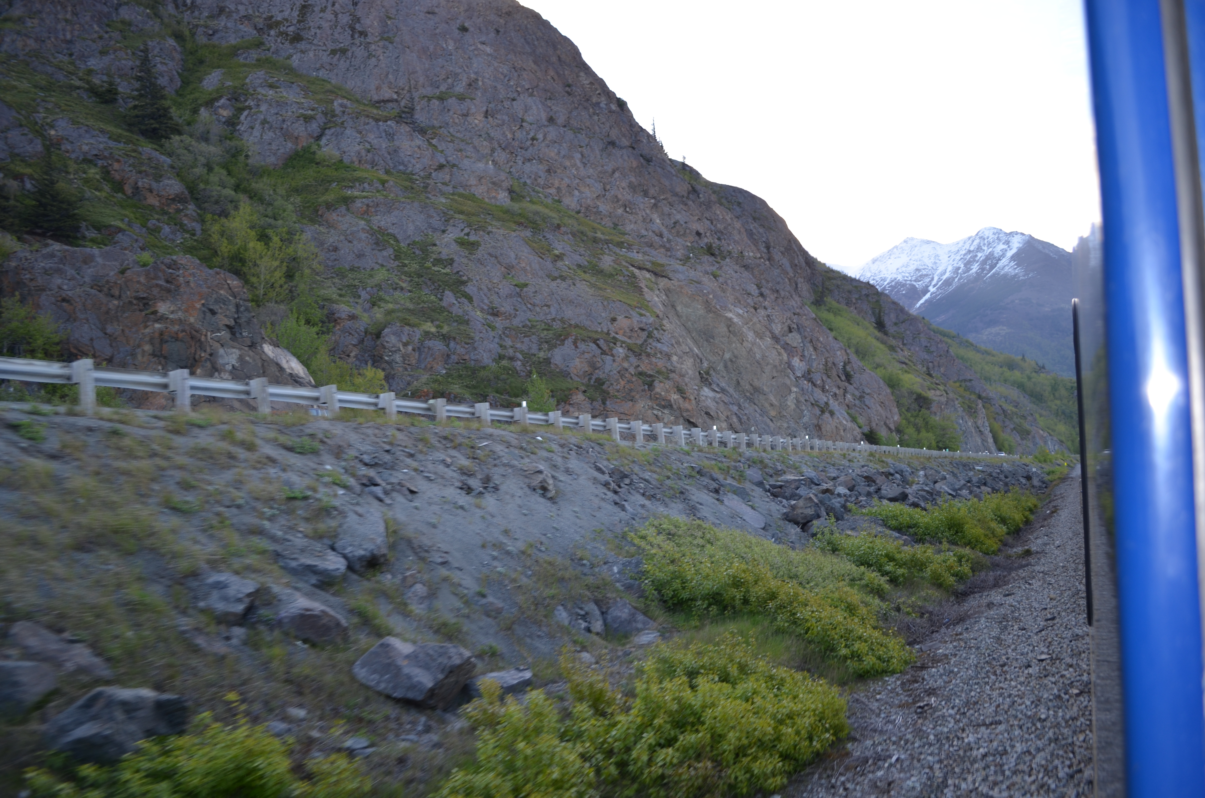 ./2017/08 - Alaska Cruise/05 - Train to Seward/DSC_0395.JPG